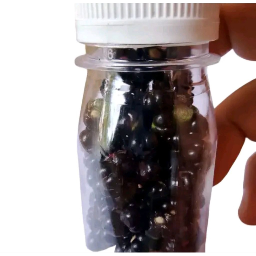 

Buah binahong /angkung /per botol