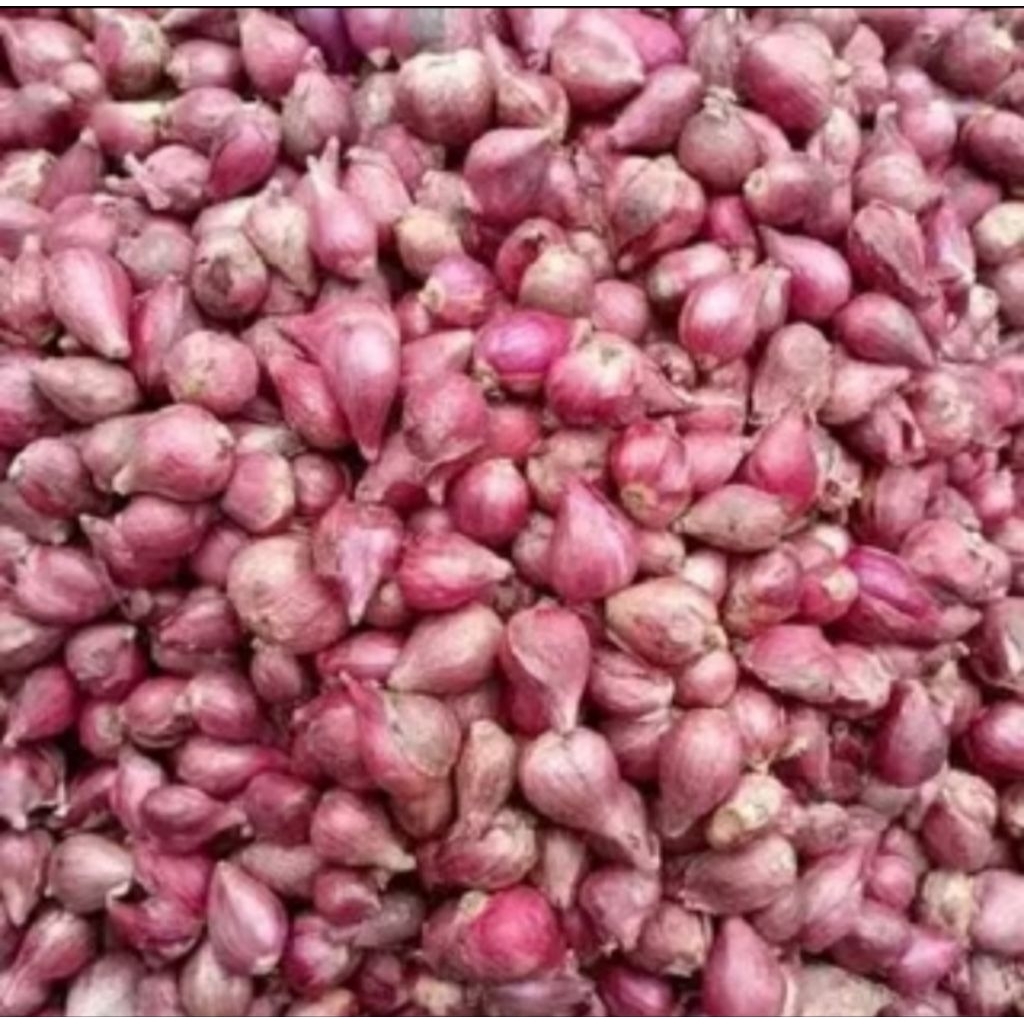 

Bawang merah super 500 gr/1 kg