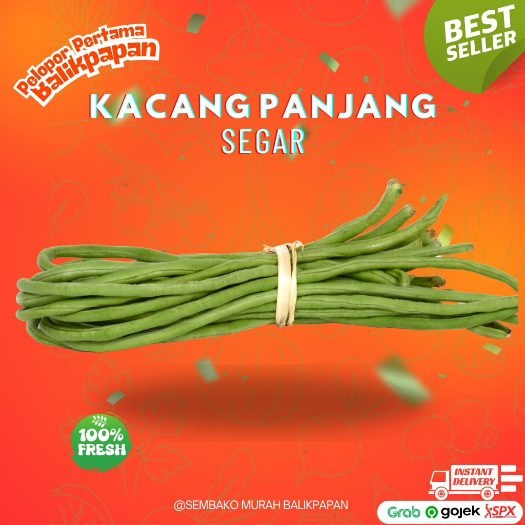 

kacang panjang
