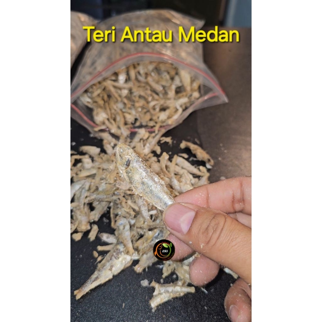 

IKAN TERI ANTAU SAMBAL TERI HIJAU