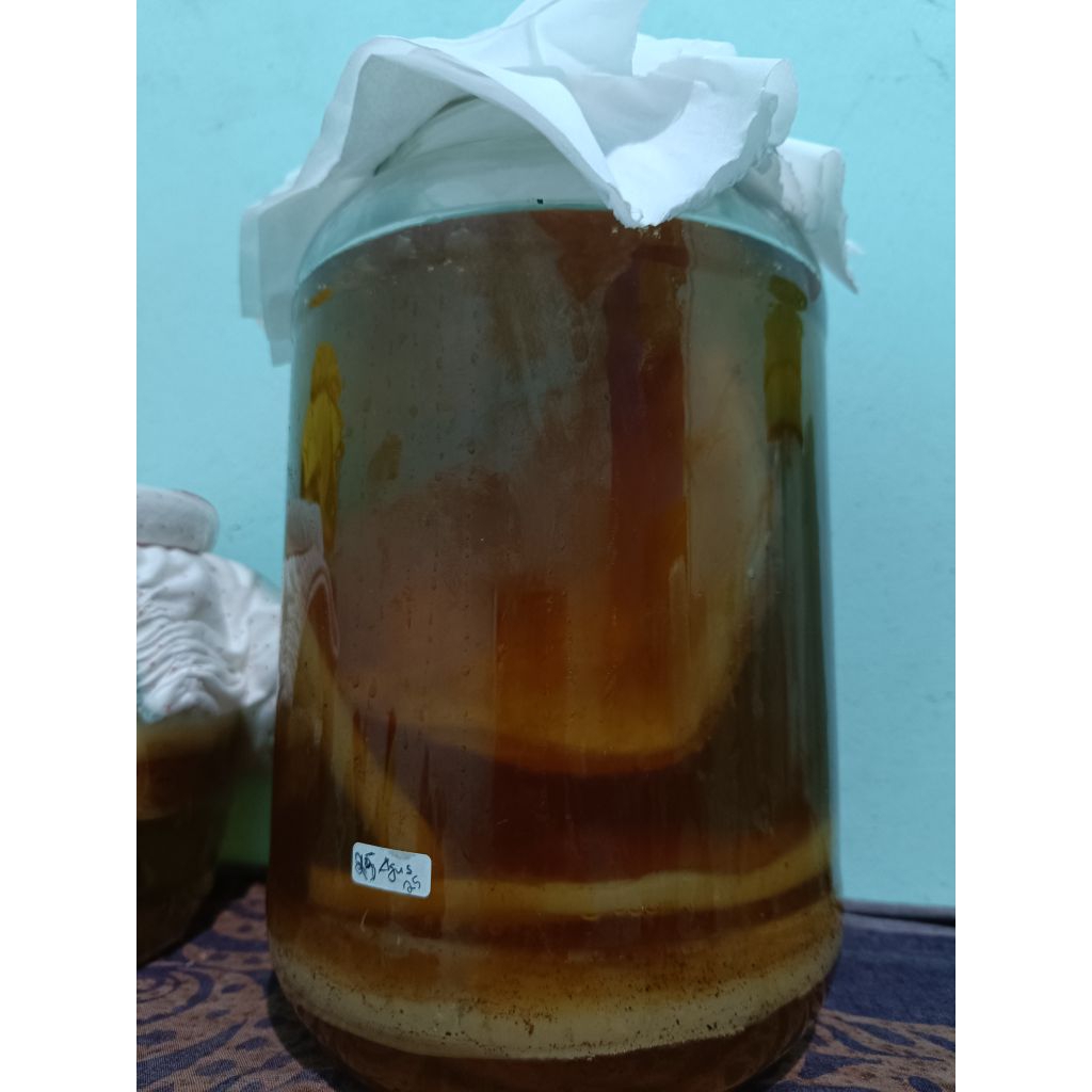 

hello kombucha original