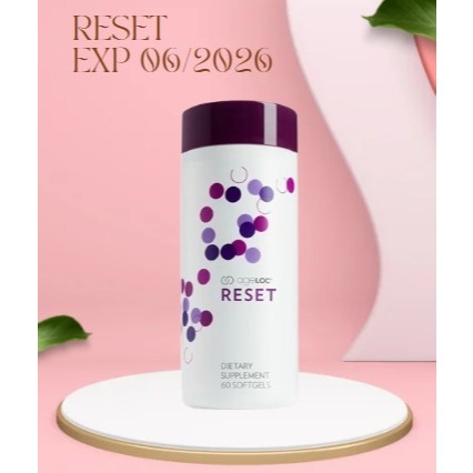 

suplemen kesehatan reset 60 kapsul