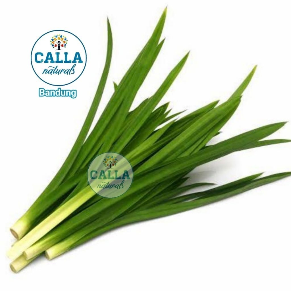 

(100 gram) DAUN PANDAN WANGI SEGAR BANDUNG