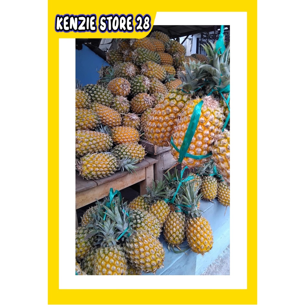 Nanas Madu Gunung Kelud Kediri berat -+ 1 Kg