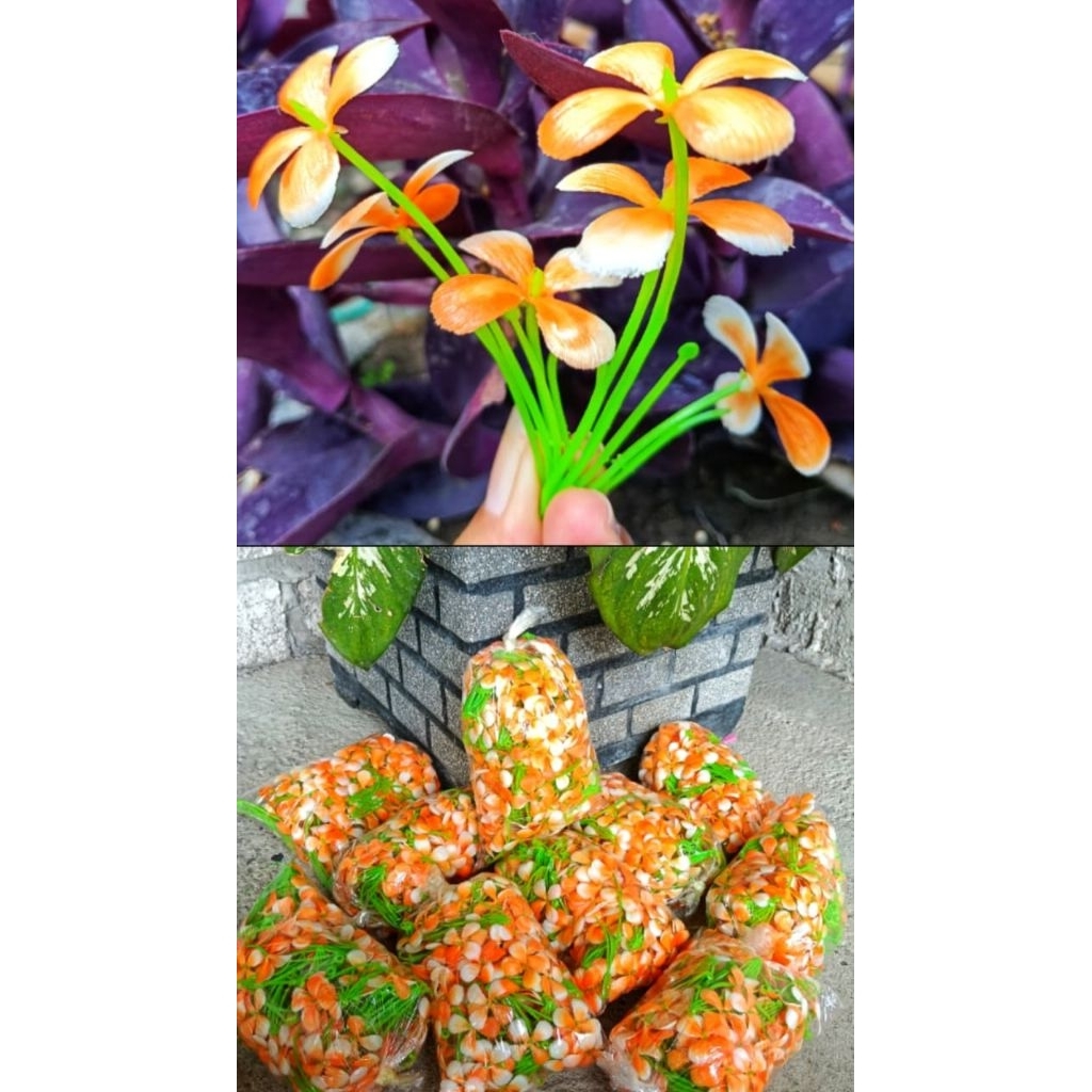 Bunga untuk hiasan Rumah kelomang kemasan 100gr