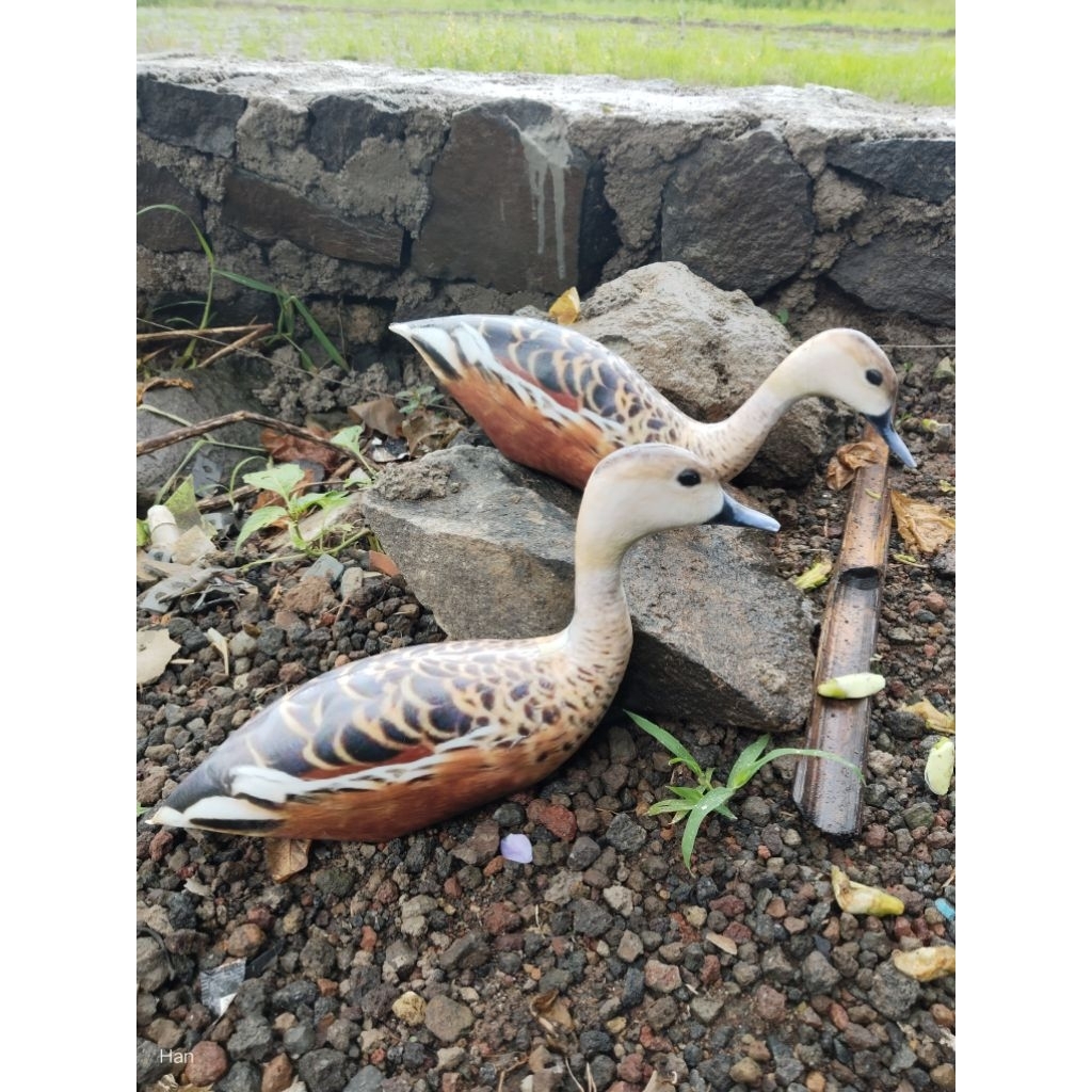 Patung Pemikat Belibis Kembang / Jontrot Pemikat Waliwis Kembang