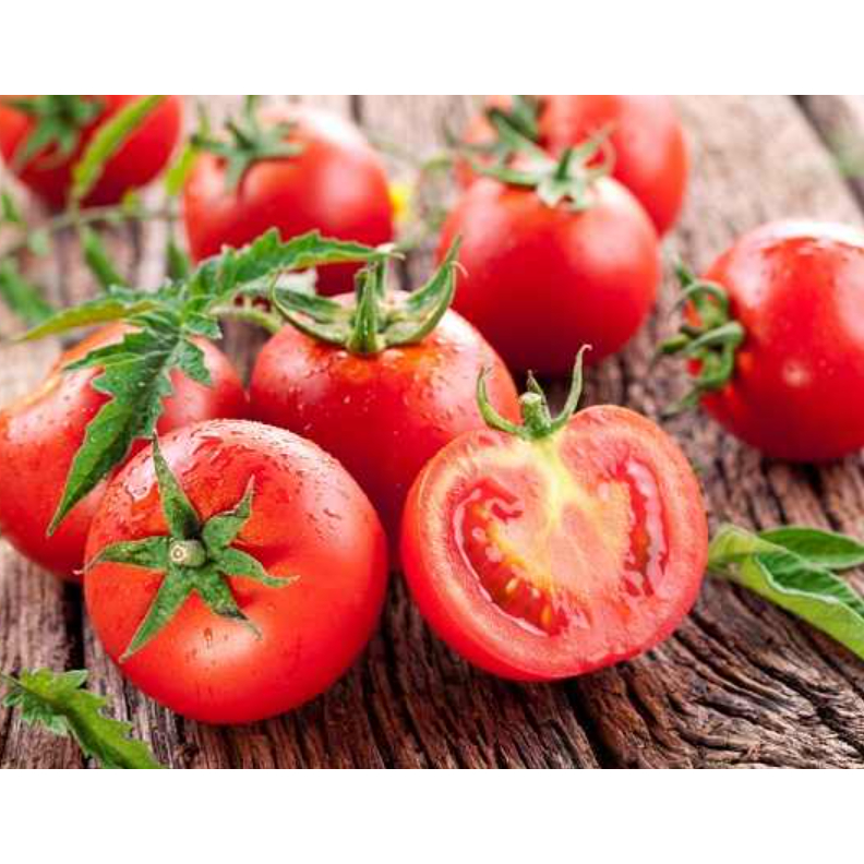 

Tomat Merah Segar Fresh Sayur Buah Masak Harian Murah 500g