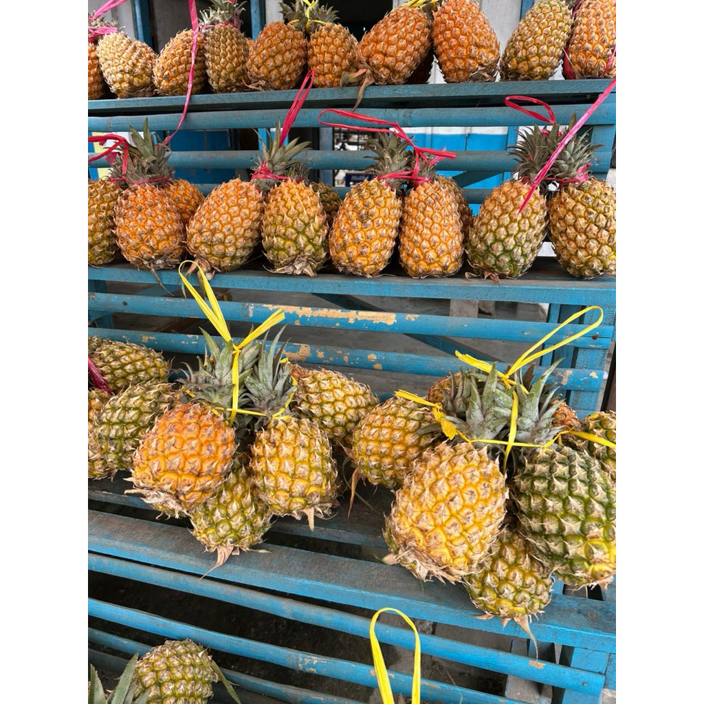 

Buah Nanas asli G.Kelud