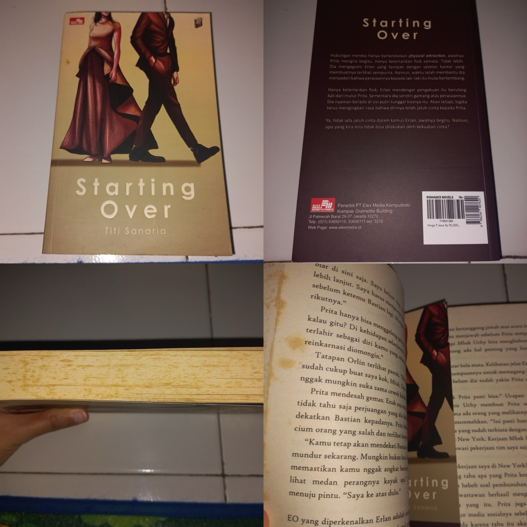 Novel Starting Over - Titi Sanaria