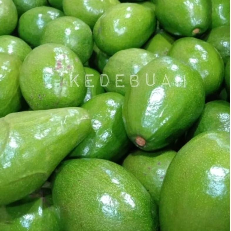 

Alpukat Mentega Super Lampung Timur 3 kg