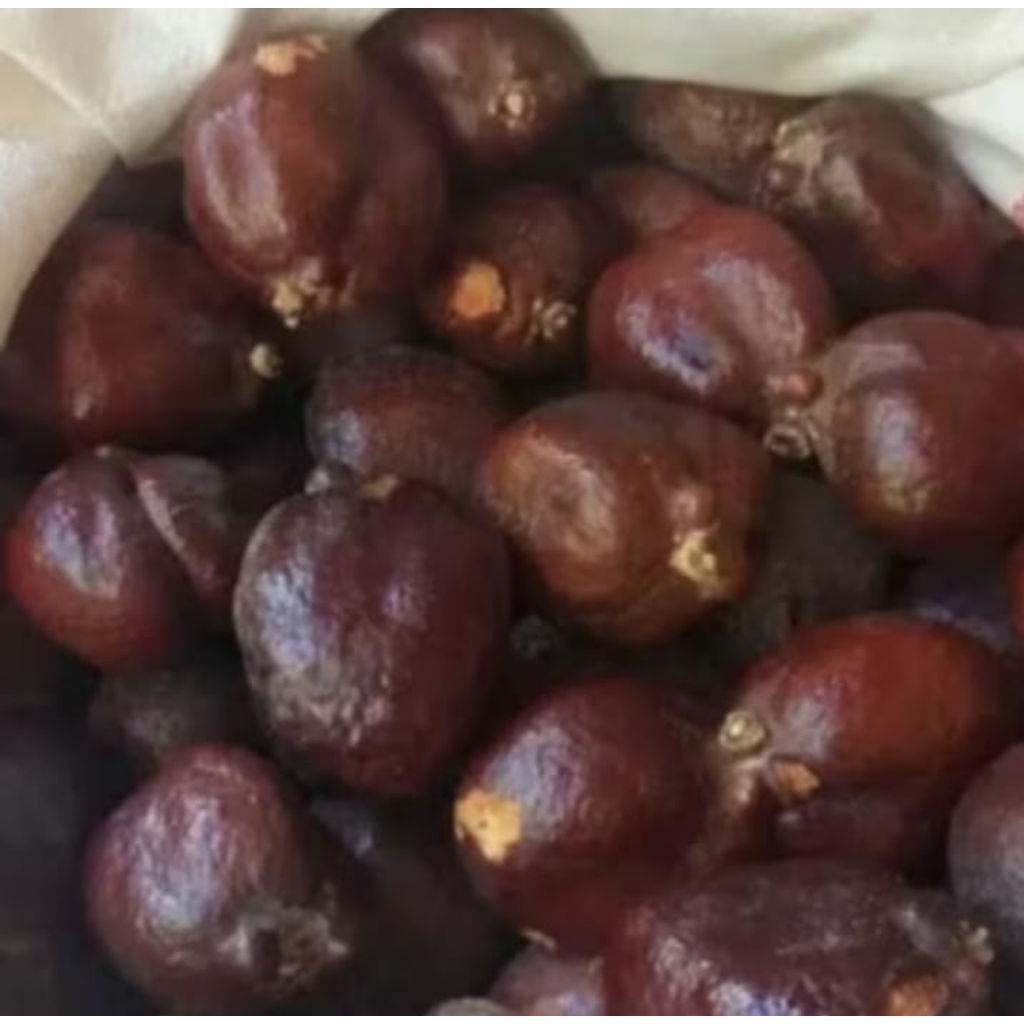 

DOUM || BUAH ZURIAT MADINAH 1 KG