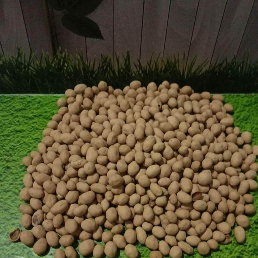 

kacang telur atom manis original rasa kacangnya