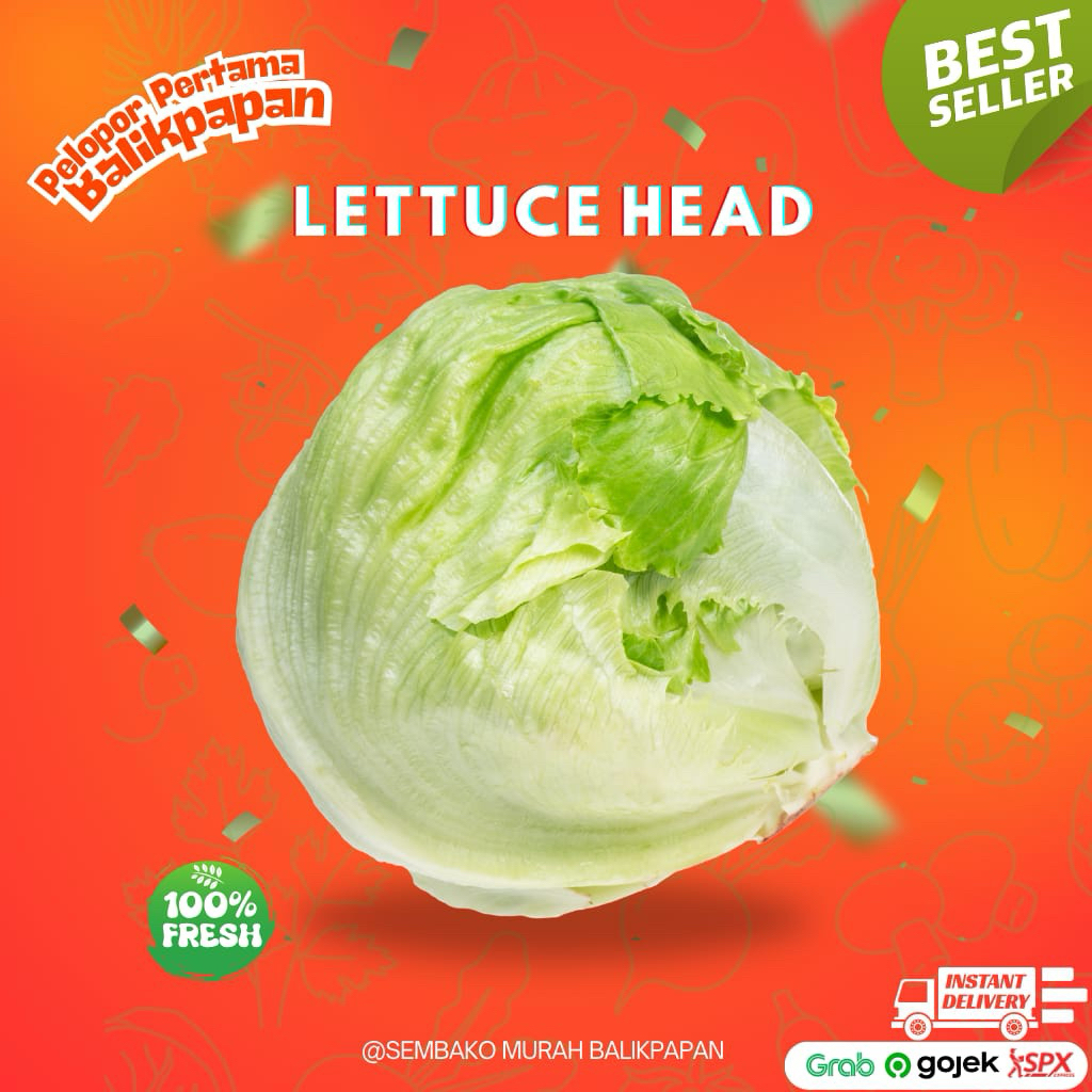 

lettuce head