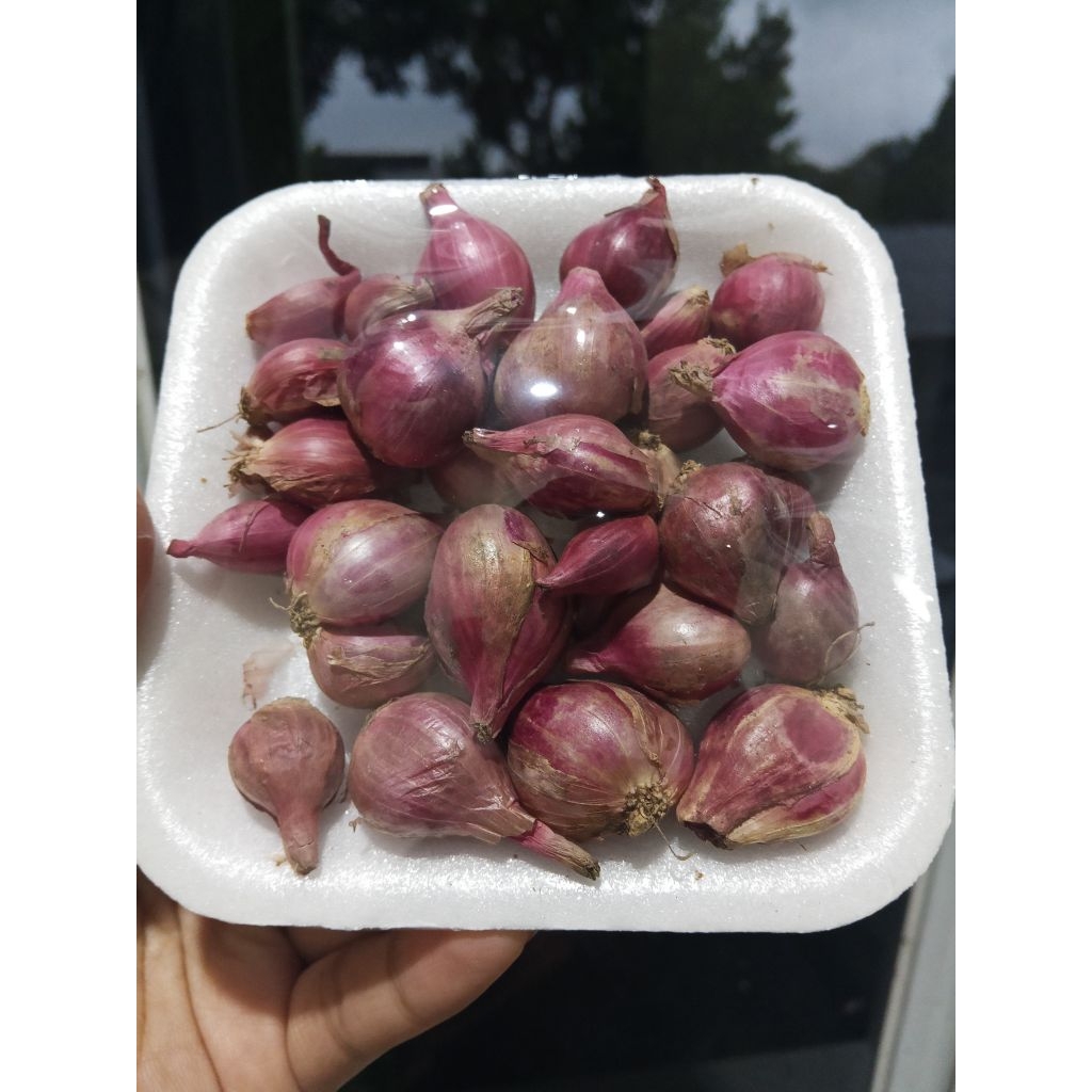 

bawang merah super