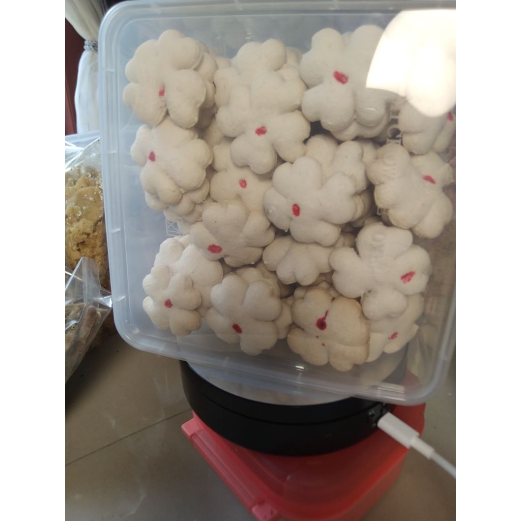 

bangkit santan bangkit jadul kue bangkit