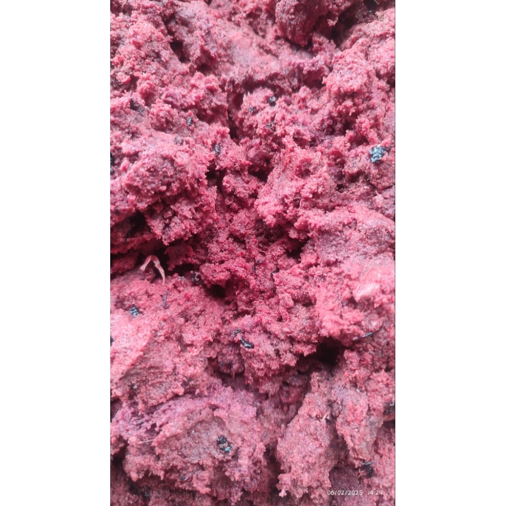 Umpan siap pakai Daging Galatama lele