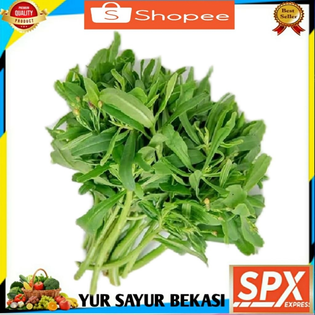 

Daun Gingseng/Ginseng 2 ikat.