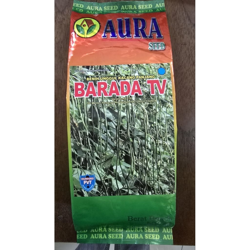 Benih unggul kacang panjang BARADA TV