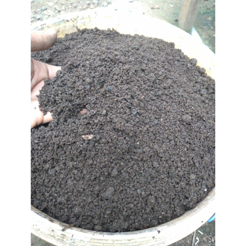kohe kambing frementasi 1kg