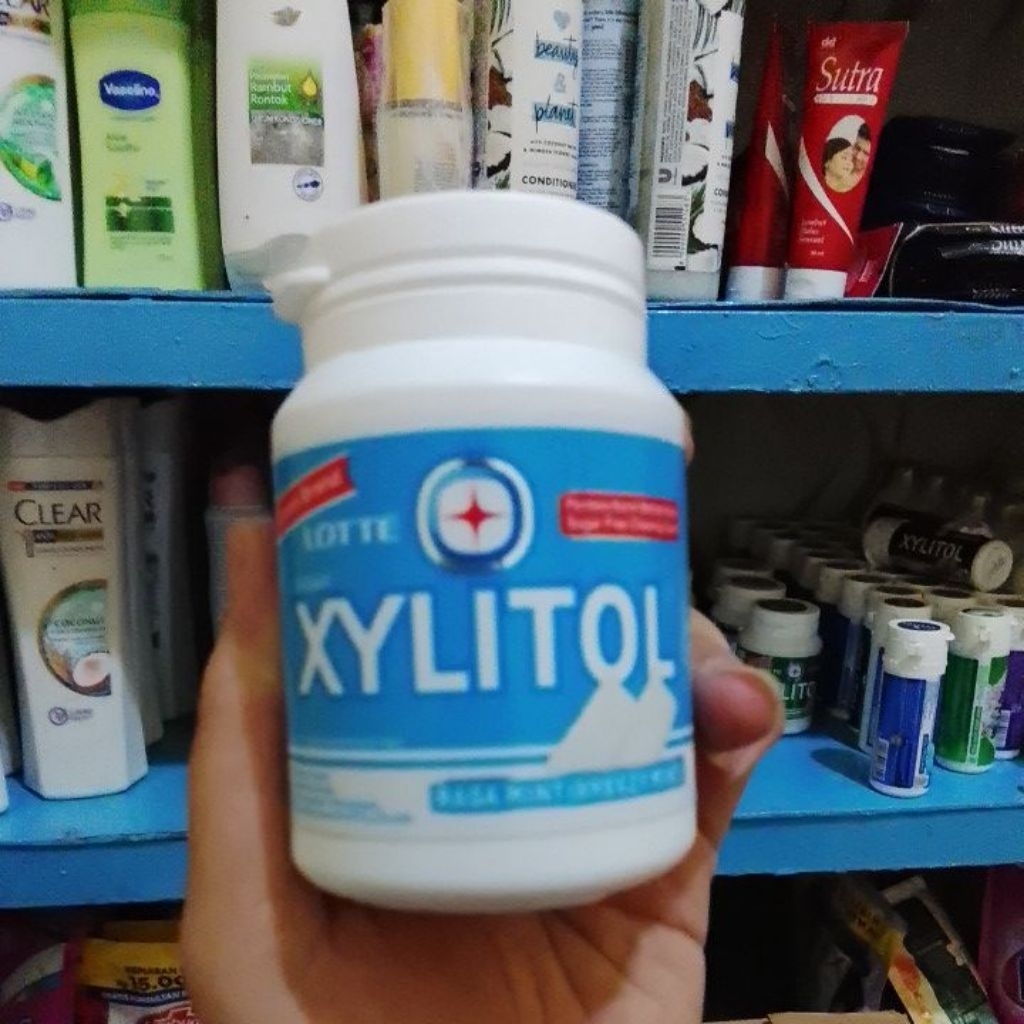 

Lotte Xylitol Permen Karet Rasa Bleezy Mint 58g