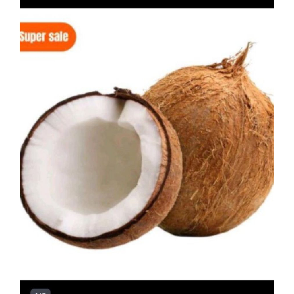 

Ready Buah Kelapa Tua Untuk Santan Dll per Butir