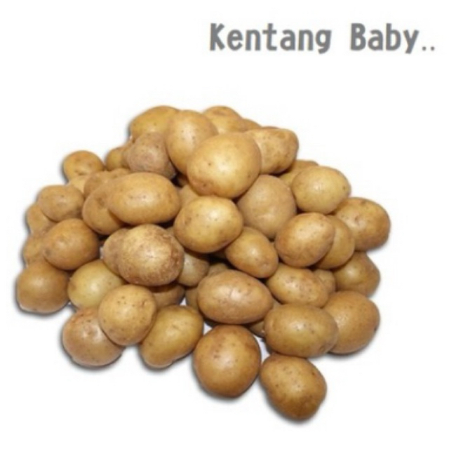 

KENTANG KECIL 1KG/KENTANG BABY 1KG/BABY POTATO/KENTANG KECIL KHAS DIENG/KENTANG MURAH/KENTANG DIENG MURAH/RENDANG KENTANG/KENTANG SIOMAY/KENTANG FRESH/CEMILAN SEHAT/CEMILAN DIET/MAKANAN SEHAT/MAKANAN DIABETES