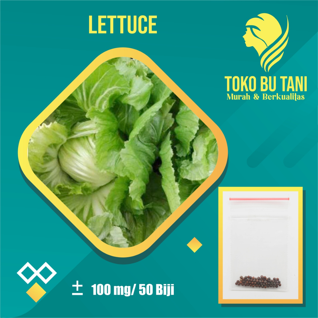 BTN Bibit Sawi Mustard Head Lettuce Benih Sawi Mustard Head Lettuce Glory Sayuran Pahit Bibit Tanama