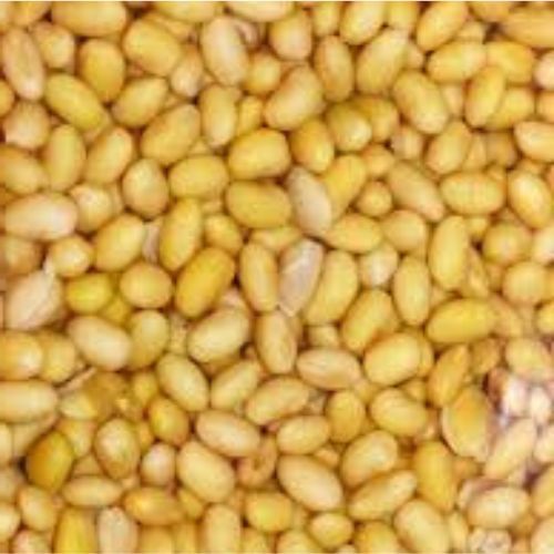 Kacang Kedelai Goreng 1 Kg, Kacang Kedelai Goreng Import
