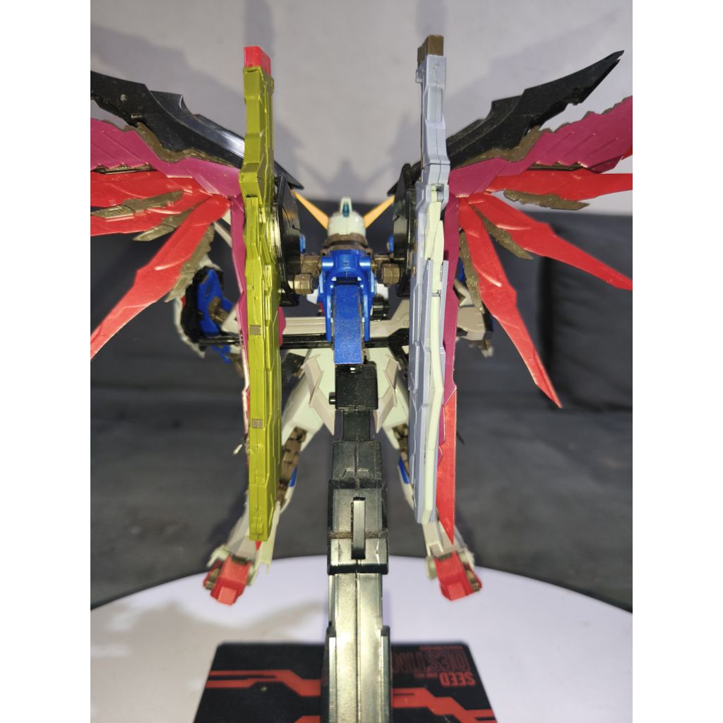 MG Destiny Dragon Momoko