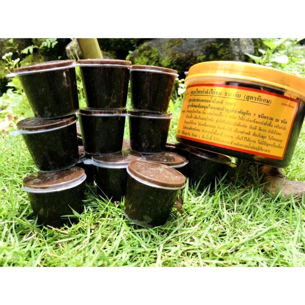 Kamlang Basah Gold Import Thailand - Kamlang basah murah - Kamlang basah ayam laga - kamlang ayam ad