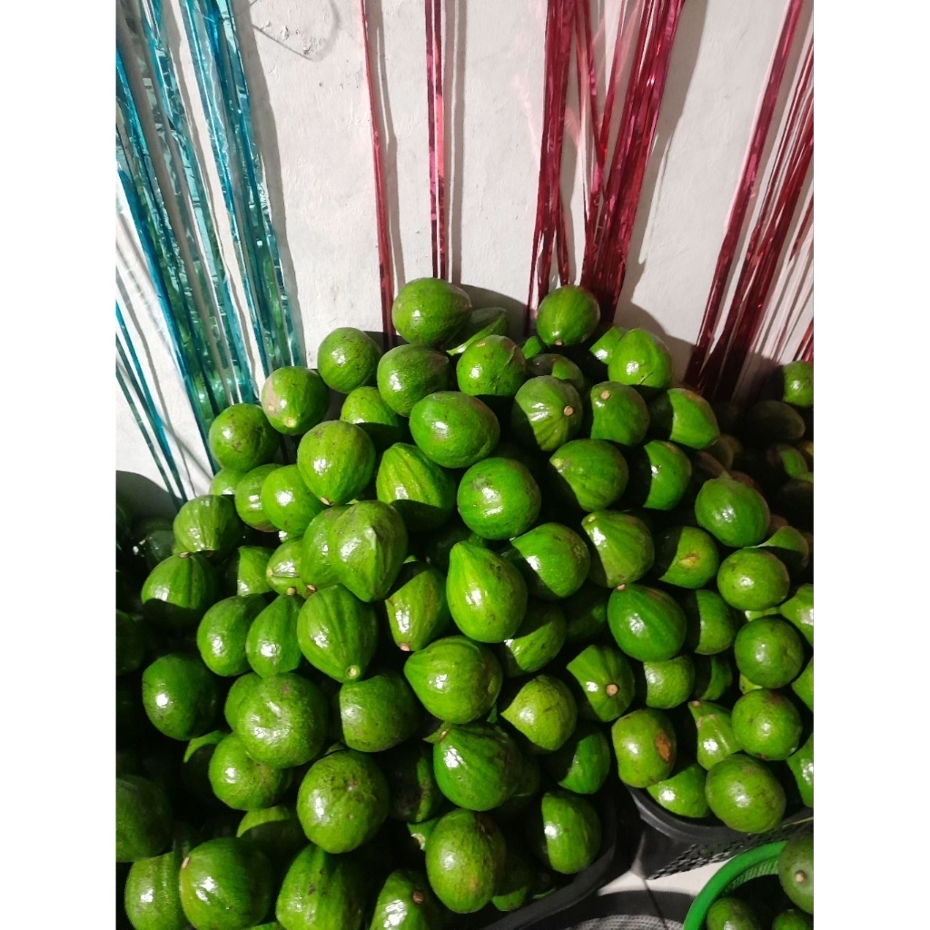 

Alpukat Mentega Gurih 1kg isi 4-6[CODBergaransi]