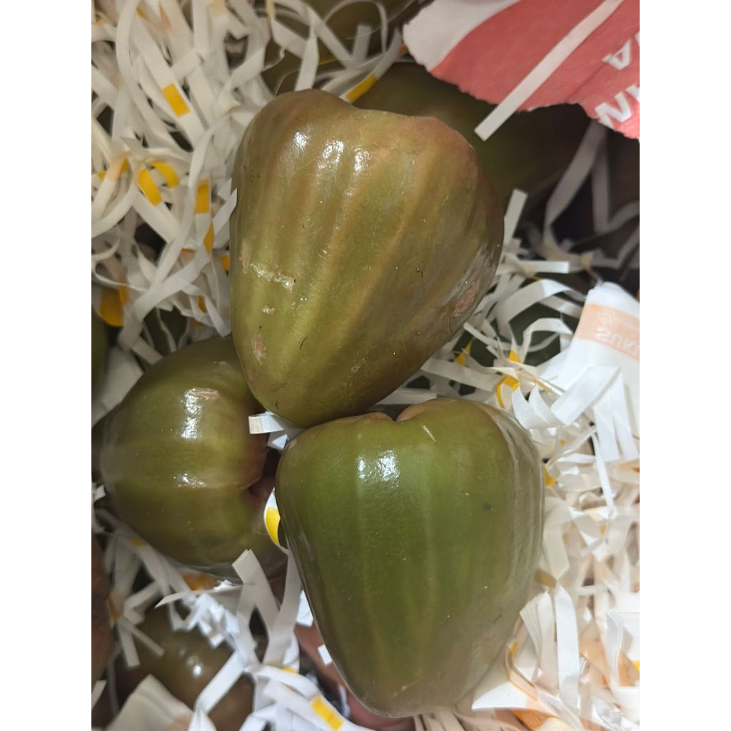 

Jambu cincalo manis 500 gram
