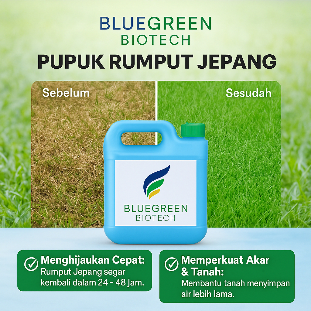 Pupuk Cair Penyubur dan Penghijau Rumput Jepang untuk Taman Hijau Alami