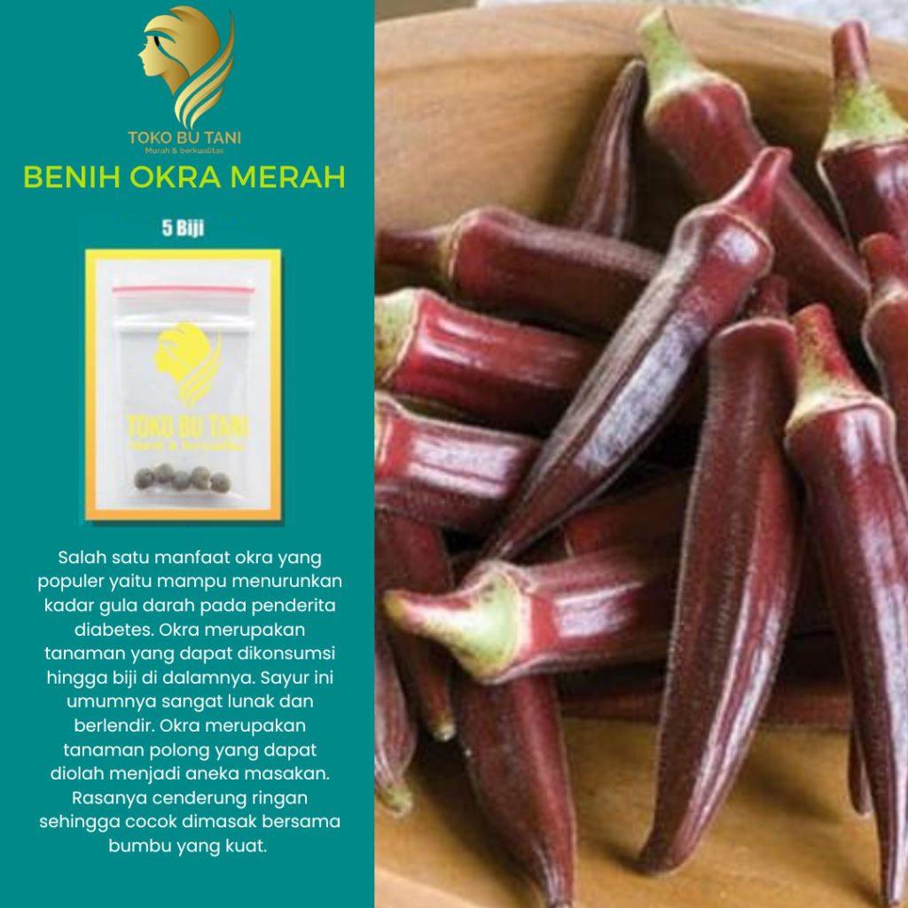 BTN Benih Sayur Okra Merah Benih Sayur Okra Merah Sayuran Bibit Sayuran Berkualitas