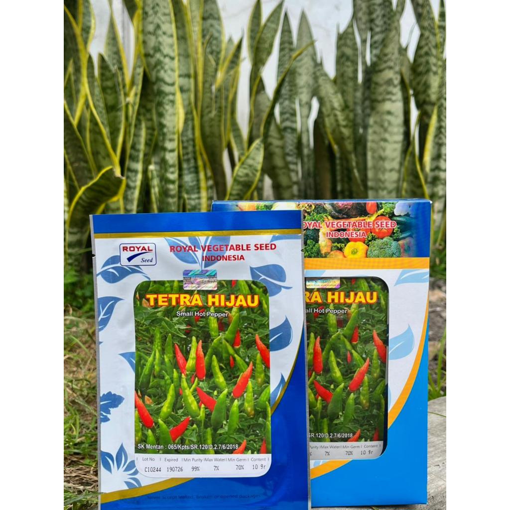 Benih cabai rawit Tetra hijau 10gr