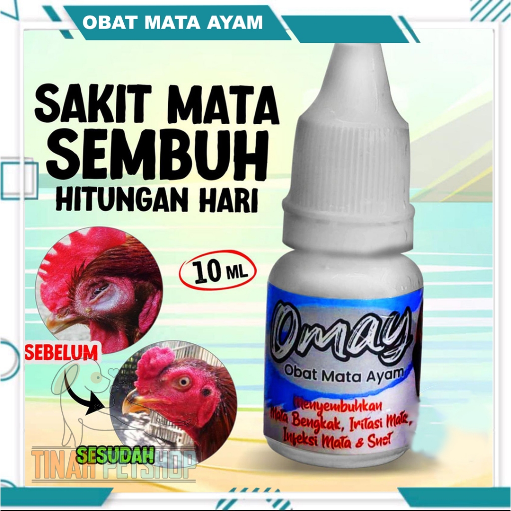 Omay Obat Sakit Mata Ayam 10ml Obat Tetes Mata Ayam Jago Laga Aduan Petarung Jantan Bangkok Ternak B