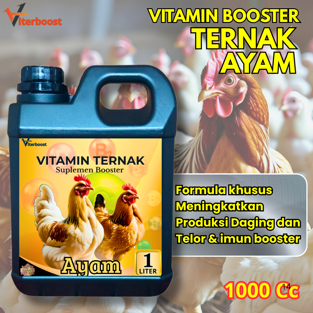 Vitamin Ayam Kampung Cepat Besar 1liter - Booster Vitamin Probiotik Ayam Agar Cepat Gemuk Berbobot