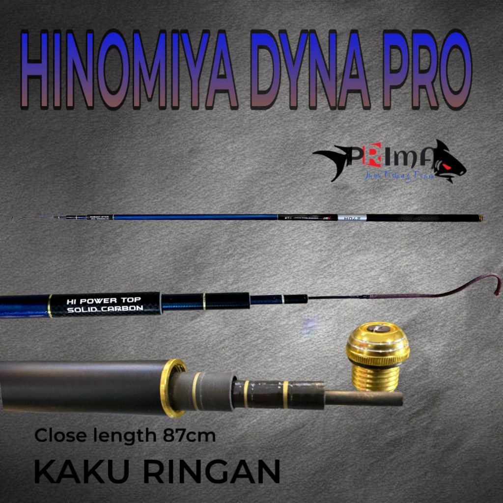 Tegek Hinomiya Dyna Pro Action Hard