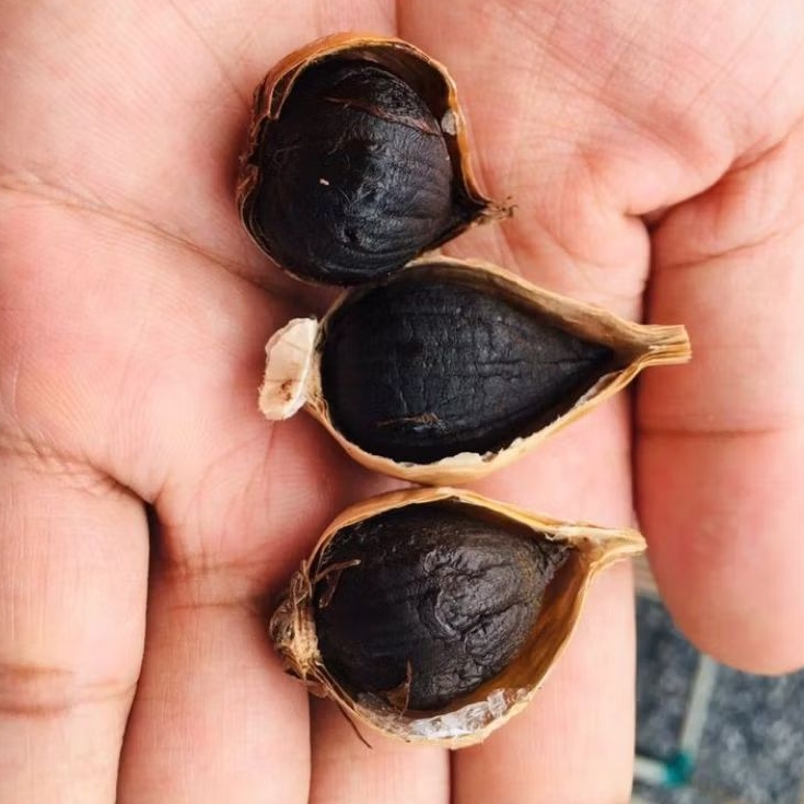

Black Garlic Premium-per biji