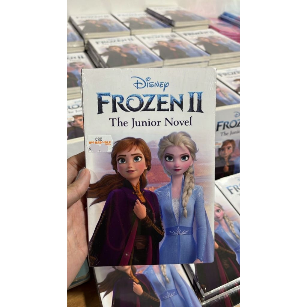 Buku Novel Import Anak Bahasa Inggris Frozen