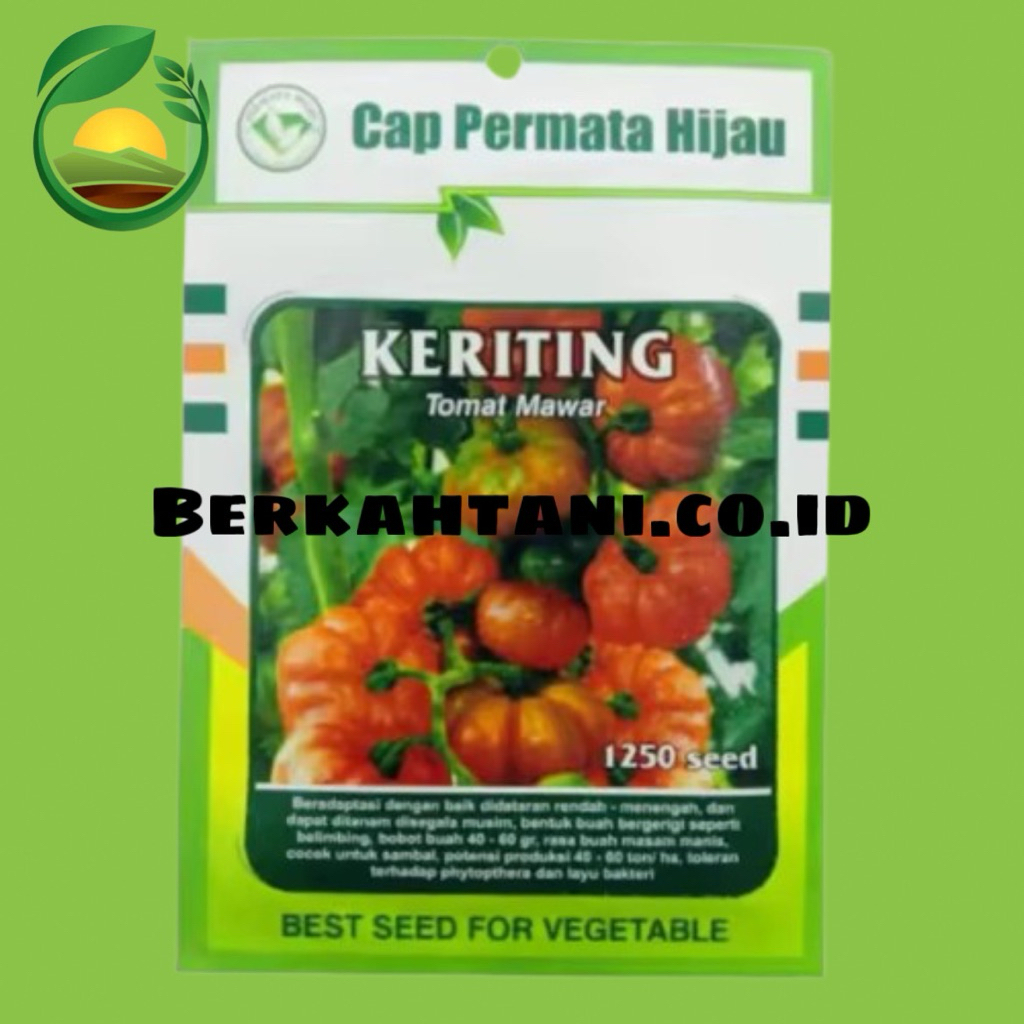 Benih Tomat Mawar KERITING 10 gram Biji Bibit Cap PERMATA HIJAU