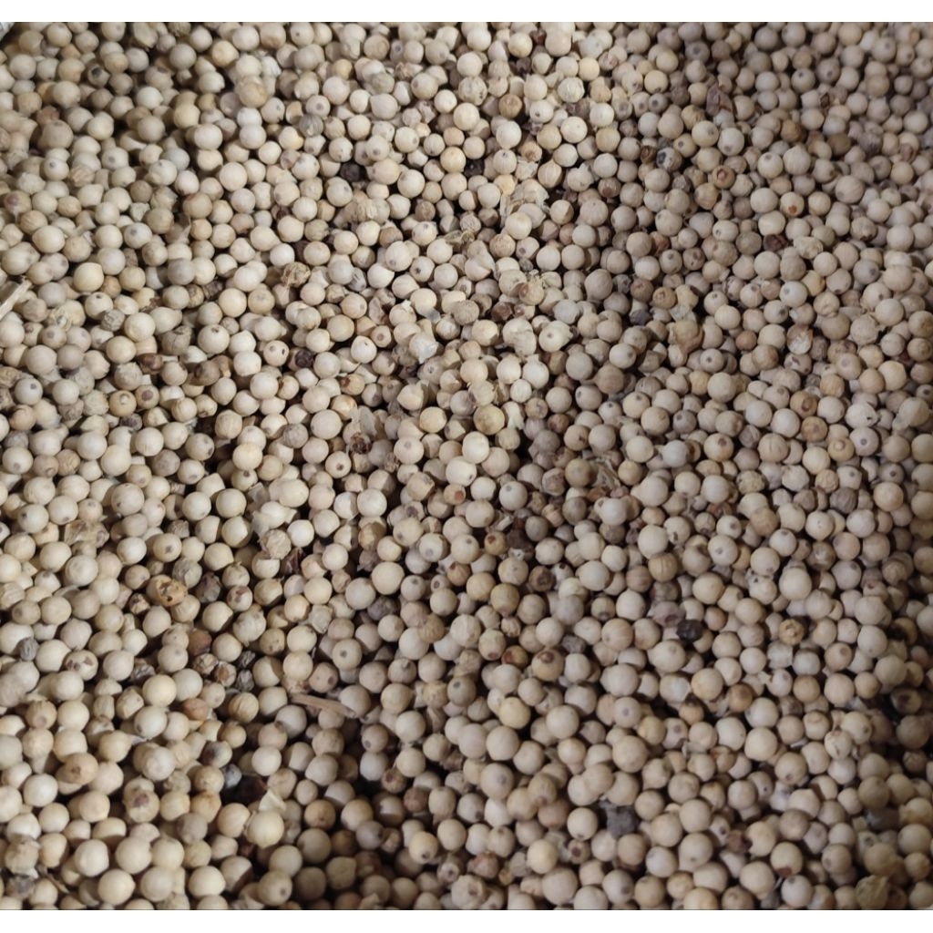 

Lada Putih / Merica / Sahang 50gr