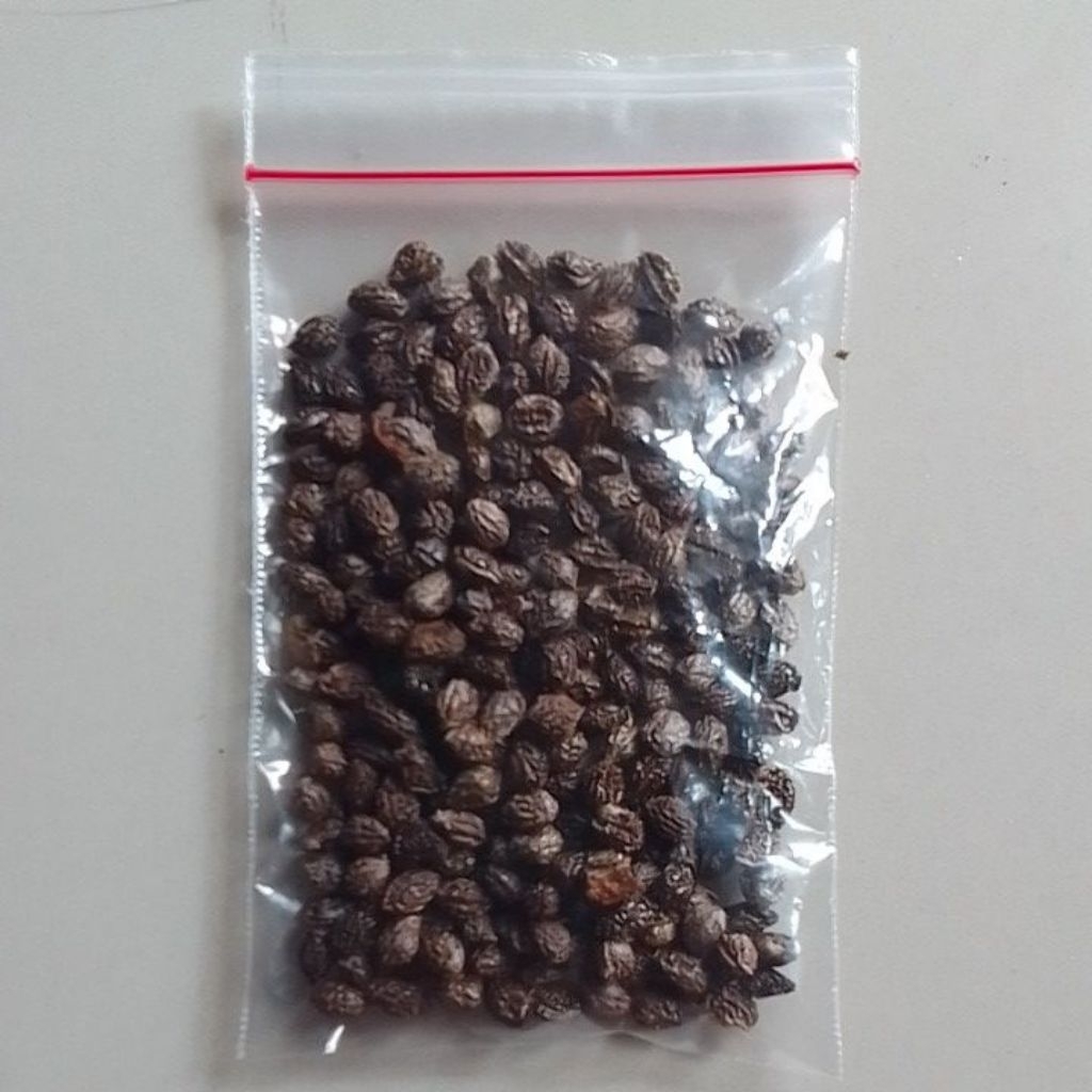 

biji pepaya kering herbal alami / dried pepaya seeds