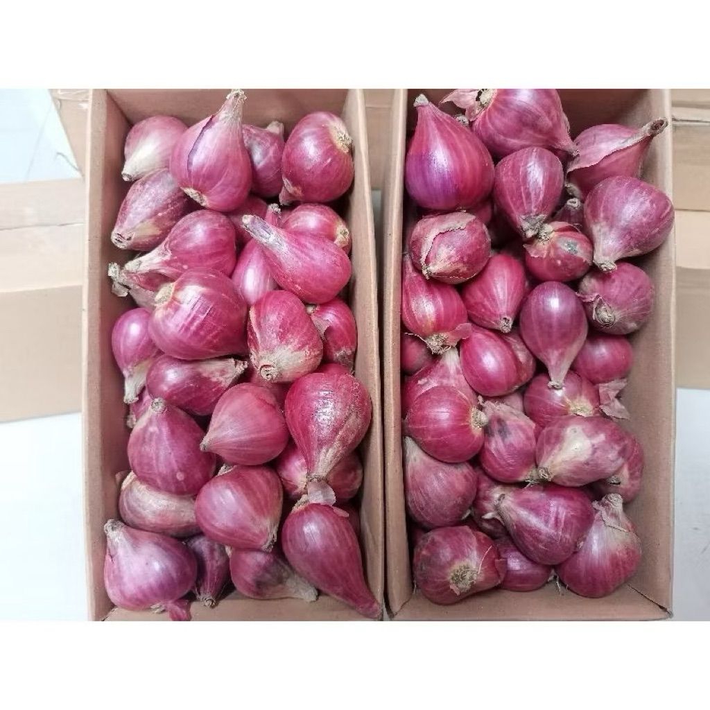 

bumbu masak bawang merah kering ukuran sedang campur menambah aroma kelezatan pasakan anda Harga murah 1 kg