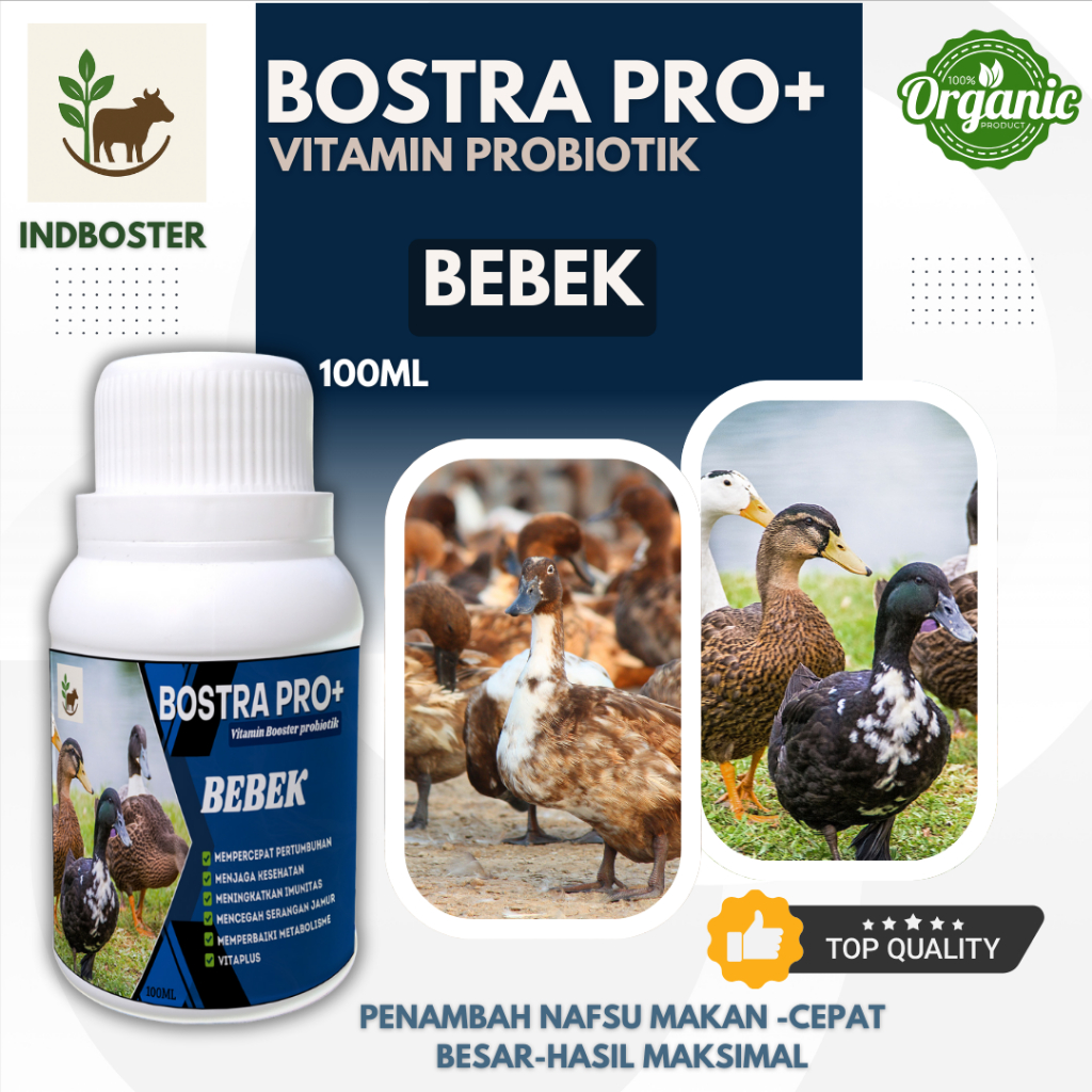 Vitamin Ternak Bebek Petelur Agar Telur Bertambah Banyak / Obat Bebek Petelur / Obat Bebek Cepat Ber