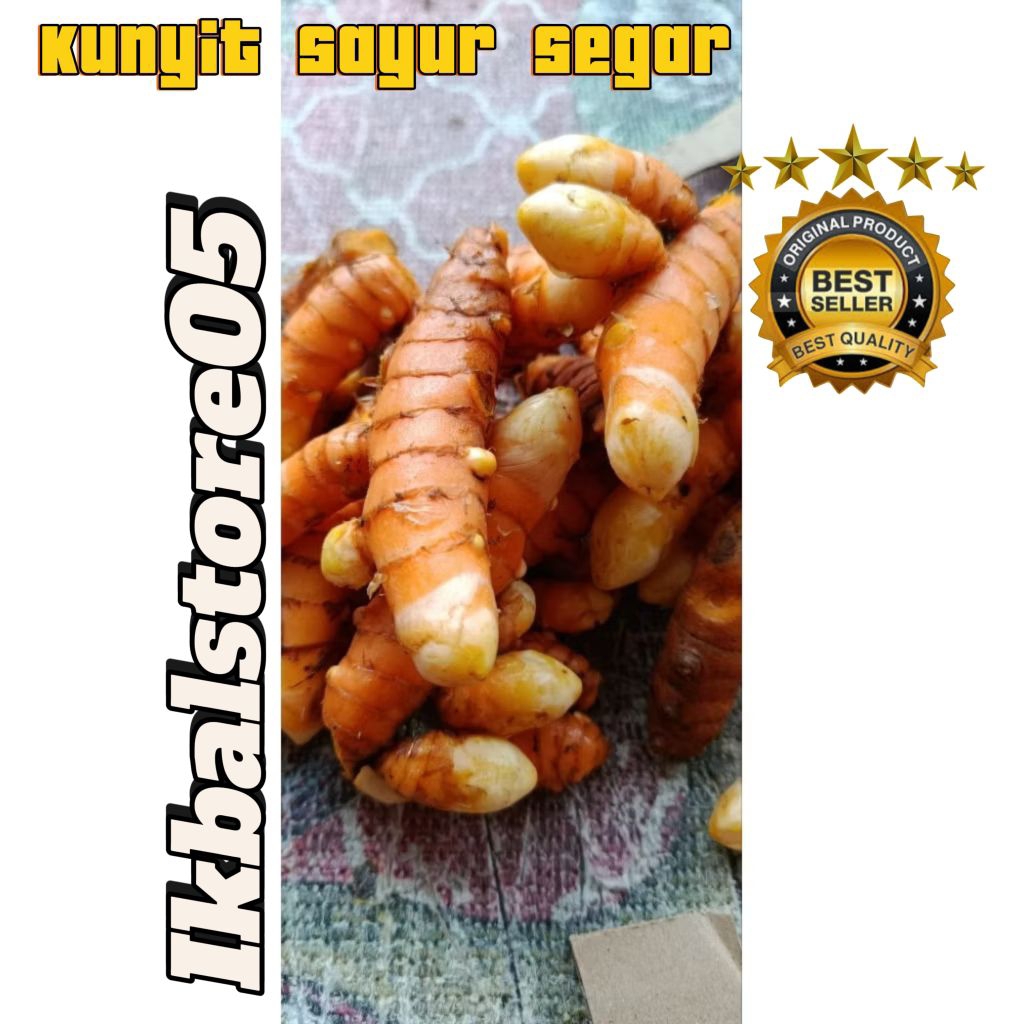 

kunyit segar langsung petik 1 kg termurah