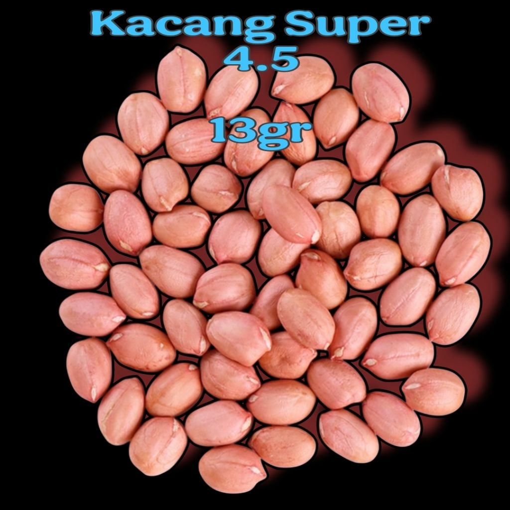 

kacang super 4.5 mantab 13gr isi 250