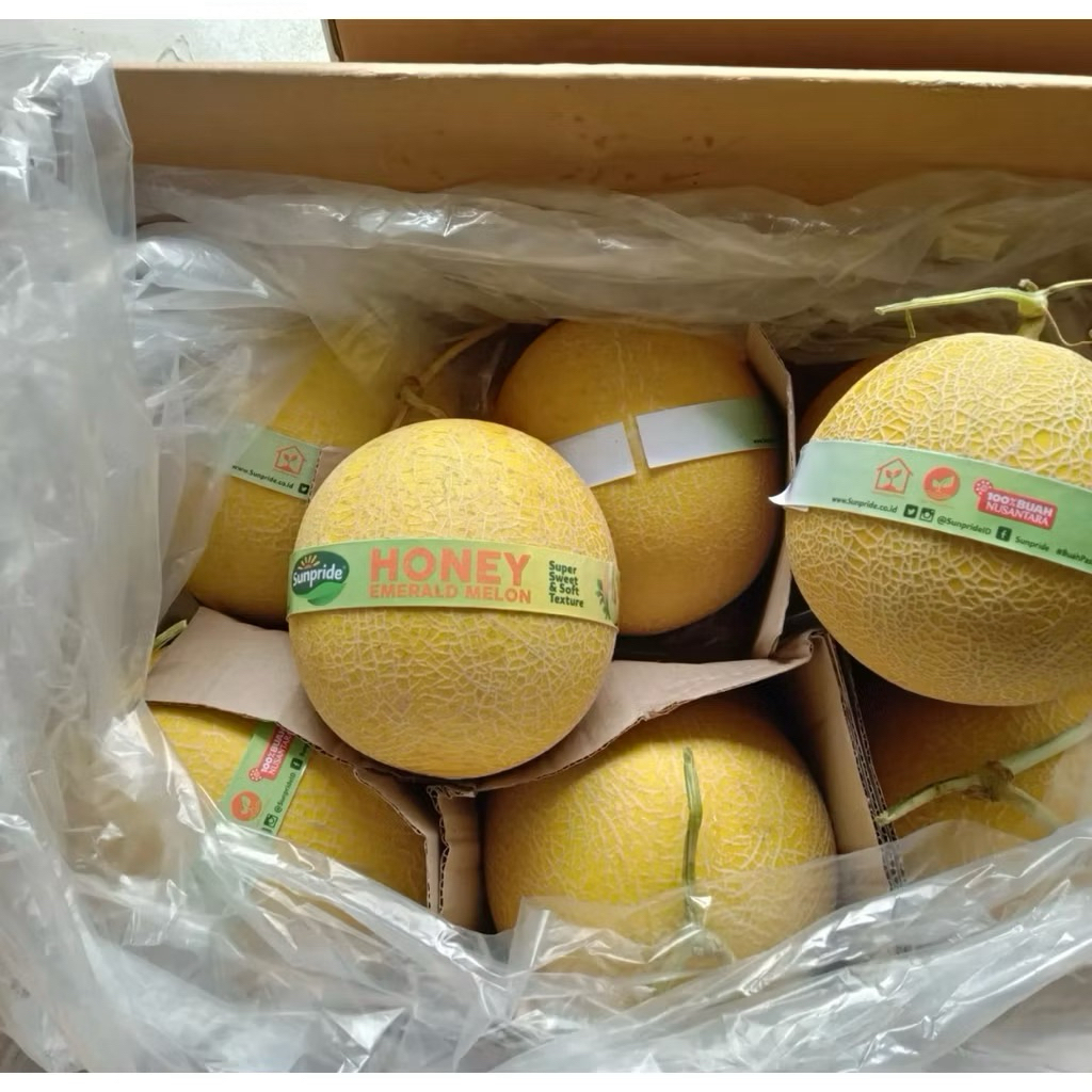

Melon Honey Inthanon Sunpride 1,5kg