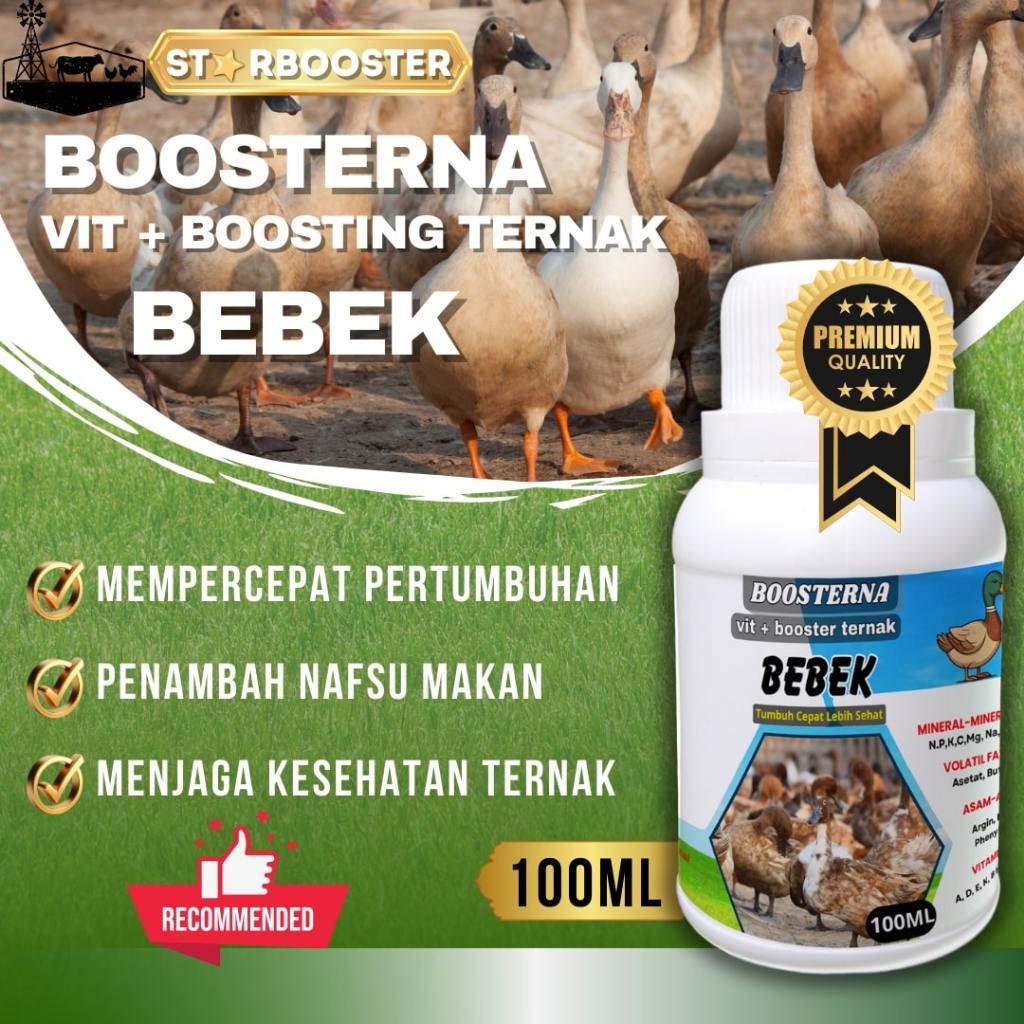 BOOSTING + Vitamin Ternak Bebek Petelur Agar Telur Bertambah Banyak, Obat Bebek Petelur, Obat Bebek 