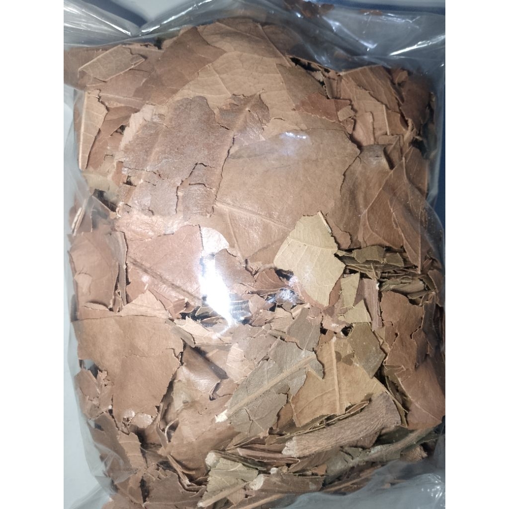 

Daun Alpukat Kering - Dried Avocado Leaves (Herbal Tea) - Persea Americana